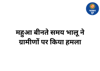 मुंगेली में महुआ बीनने गए ग्रामीणों पर भालू ने किया हमला, एक की हालत गंभीर