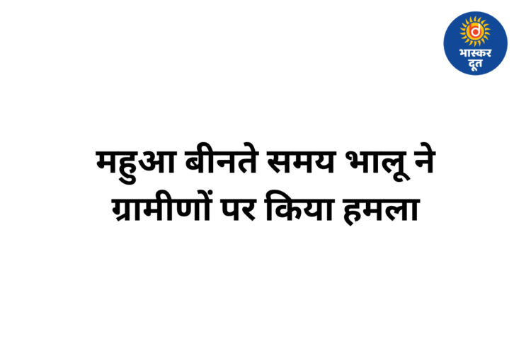 मुंगेली में महुआ बीनने गए ग्रामीणों पर भालू ने किया हमला, एक की हालत गंभीर