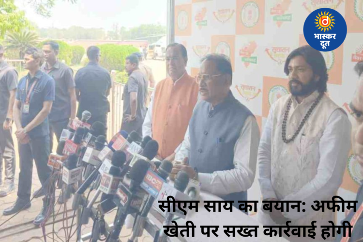 सीएम साय का सख्त संदेश: अफीम की खेती पर होगी कार्रवाई, बड़े रसूखदार भी नहीं बचेंगे