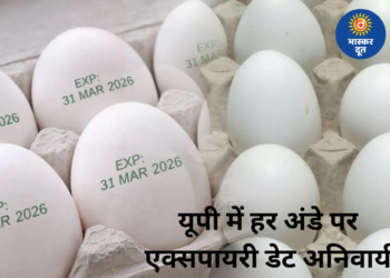 उत्तर प्रदेश: अब हर अंडे पर लिखी होगी एक्सपायरी डेट, 1 अप्रैल से लागू नया नियम