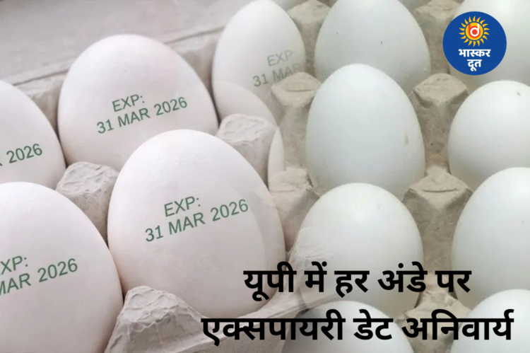 उत्तर प्रदेश: अब हर अंडे पर लिखी होगी एक्सपायरी डेट, 1 अप्रैल से लागू नया नियम
