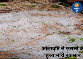 बेमौसम बारिश और ओलावृष्टि का कहर: खेतों में खड़ी फसलों को हुआ भारी नुकसान