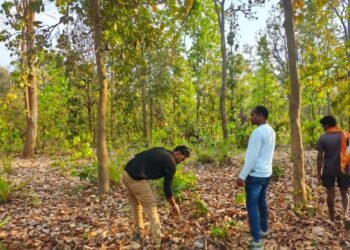 बाघ गणना का कार्य सफलतापूर्वक संपन्न