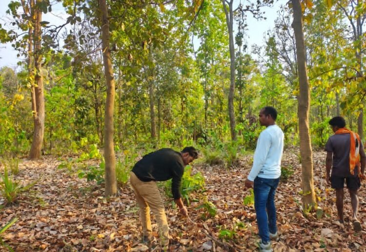 बाघ गणना का कार्य सफलतापूर्वक संपन्न