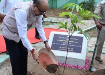 राज्यपाल श्री रमेन डेका ने जशपुर के मातृत्व वन में किया सीता अशोक के पौधे का रोपण