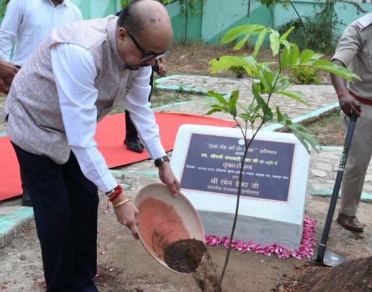 राज्यपाल श्री रमेन डेका ने जशपुर के मातृत्व वन में किया सीता अशोक के पौधे का रोपण