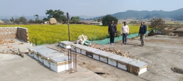 मधुमक्खी पालन: कम लागत में ज्यादा मुनाफे का बेहतर विकल्प