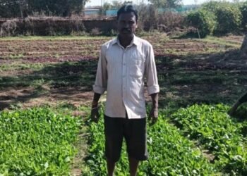 डबरी बनी स्थायी आजीविका का आधार