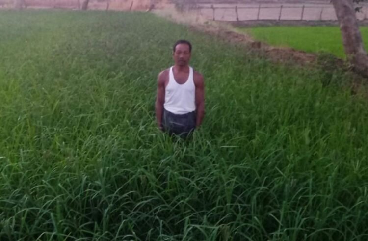 डबरी, मछली पालन और बहुफसली खेती से बदली तकदीर—सगनू बने गांव के प्रेरणास्रोत