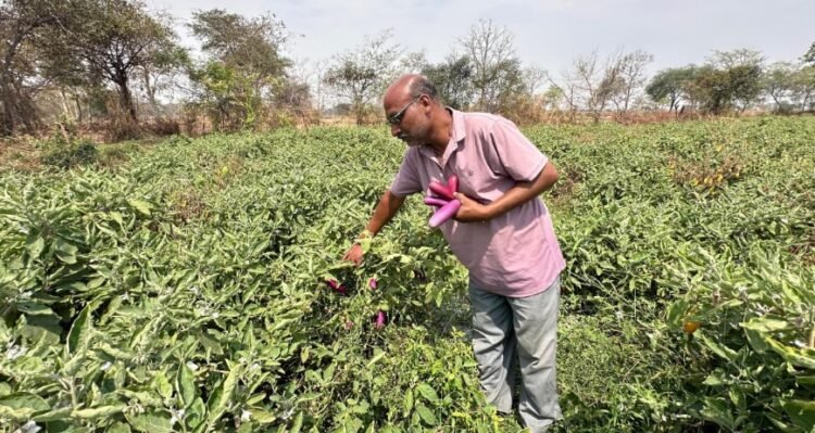किसान हितैषी योजनाओं से आत्मनिर्भर बने संजय साहू, नवाचार से बदल दी खेती की तस्वीर