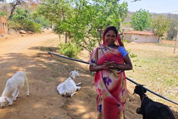 महतारी वंदन योजना से संवर रही पहाड़ी कोरवा परिवारों की तकदीर