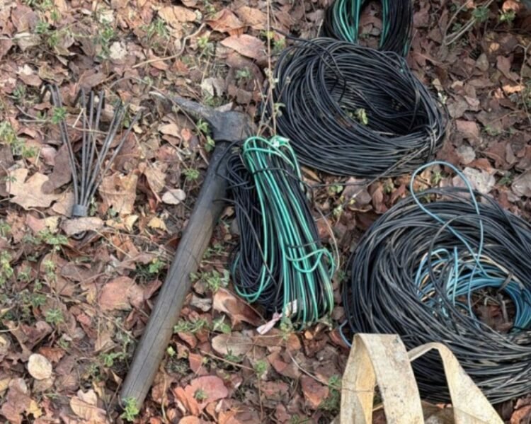 देवखोल में अवैध कोयला खनन पर बड़ी कार्रवाई, 6 टन से अधिक कोयला जब्त