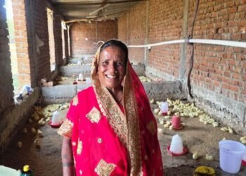 मजदूरी छोड़ ‘लखपति दीदी’ बनीं मति बाई, मुर्गी पालन से संवर रहा परिवार का भविष्य