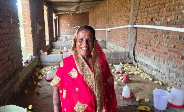 मजदूरी छोड़ ‘लखपति दीदी’ बनीं मति बाई, मुर्गी पालन से संवर रहा परिवार का भविष्य