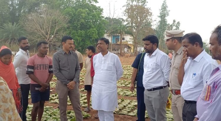 वन मंत्री श्री केदार कश्यप ने दहिकोंगा तेंदूपत्ता फड़ का किया निरीक्षण