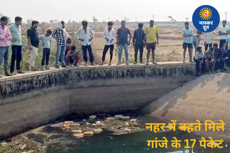 नहर में बहते मिले 17 गांजे के पैकेट, पुलिस जांच में जुटी