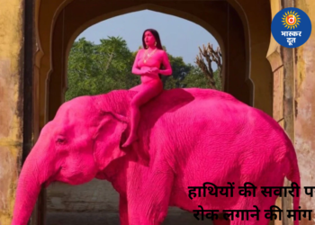 गुलाबी हाथी विवाद पर भड़की रूपाली गांगुली, पीएम नरेंद्र मोदी को लिखा पत्र, हाथी सवारी पर बैन की मांग