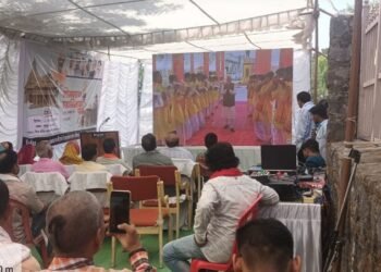 पाली शिव मंदिर में श्रद्धा और धरोहर का समागम, सोमनाथ स्वाभिमान पर्व का भव्य आयोजन