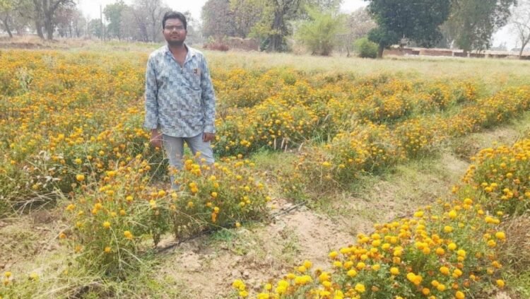 गेंदा की खेती से बढ़ी आय और बनी नई पहचान
