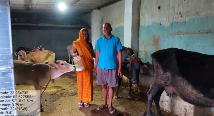 मनरेगा से मिला पशु शेड, डेयरी व्यवसाय से बढ़ी आय और बदली जिंदगी