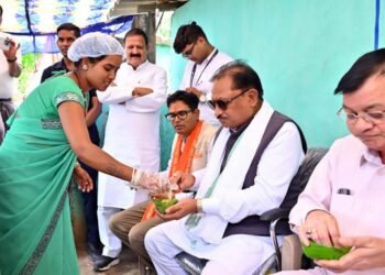 लखपति दीदी मंजू की संघर्षगाथा बनी आत्मनिर्भरता की प्रेरक मिसाल
