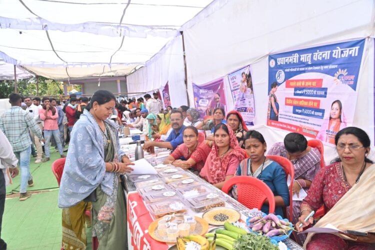 सुशासन तिहार 2026 : झांकी में आयोजित जन समस्या निवारण शिविर में ग्रामीणों ने रखीं समस्याएं, मौके पर हुआ निराकरण