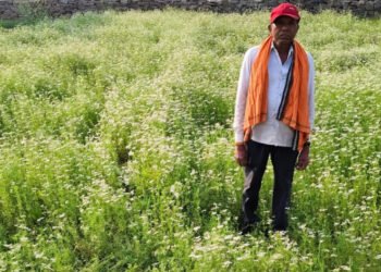 राष्ट्रीय बागवानी मिशन अंतर्गत धनिया की खेती से किसान रतिराम की बढ़ी आय