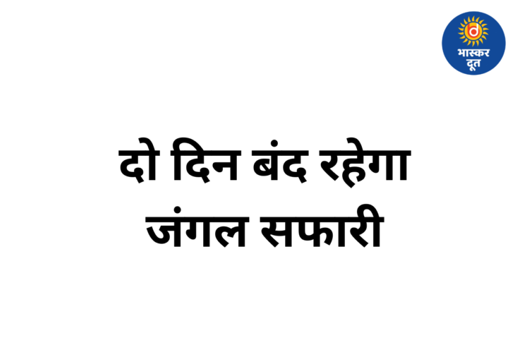 भीषण गर्मी के चलते दो दिन बंद रहेगा नंदनवन जंगल सफारी, पर्यटकों की एंट्री पर रोक