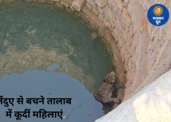 बालोद में तेंदुए के रेस्क्यू के दौरान मची अफरा-तफरी, जान बचाने बच्चों संग तालाब में कूदीं महिलाएं