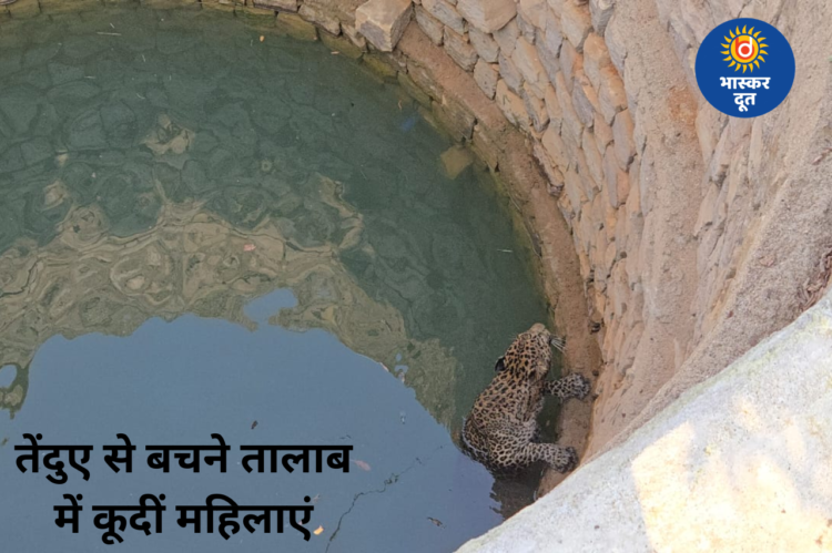 बालोद में तेंदुए के रेस्क्यू के दौरान मची अफरा-तफरी, जान बचाने बच्चों संग तालाब में कूदीं महिलाएं