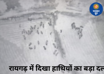 रायगढ़ में दिखा 51 हाथियों का बड़ा दल, ड्रोन कैमरे में कैद, वन विभाग अलर्ट