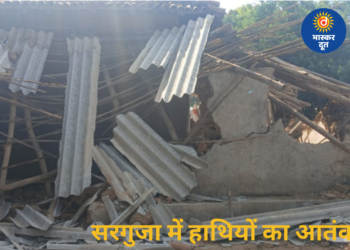 छत्तीसगढ़ के सरगुजा में हाथियों का कहर, घर और स्कूल को किया नुकसान, ग्रामीणों में दहशत