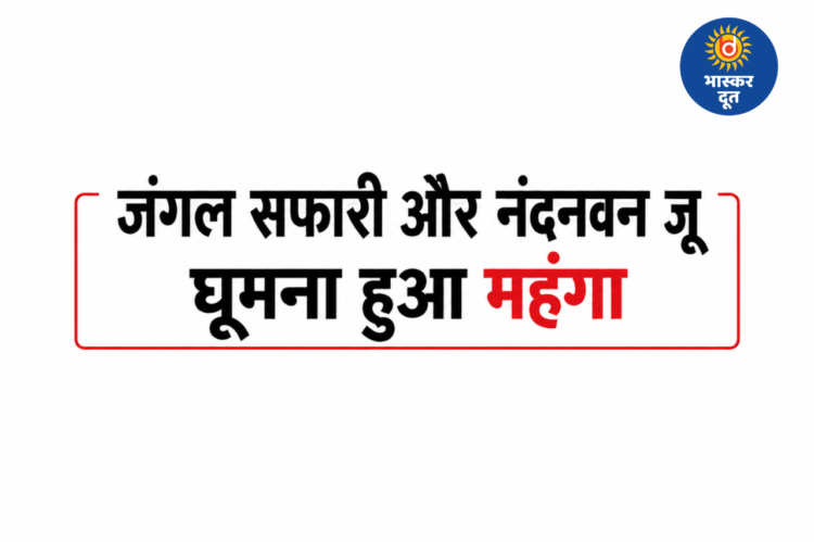 नंदनवन जू और जंगल सफारी की टिकट दरों में बढ़ोतरी, पर्यटकों को अब चुकाने होंगे ज्यादा पैसे