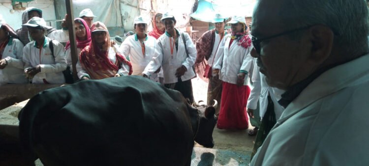 आधुनिक पशुपालन की तकनीकों से सशक्त होंगी पशु सखियाँ