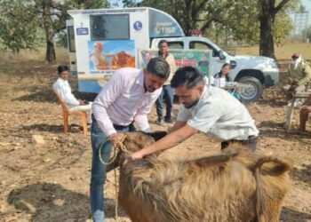 एक कॉल पर घर पहुंच रही पशु चिकित्सा सेवा, ग्रामीण पशुपालकों के लिए वरदान बनी मोबाइल यूनिट