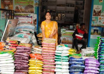 बिहान योजना की मदद से बनीं ‘लखपति दीदी’,गांव की महिलाओं के लिए बनी प्रेरणा