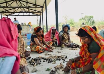 सीड बॉल अभियान के साथ हरियाली की नई शुरुआत