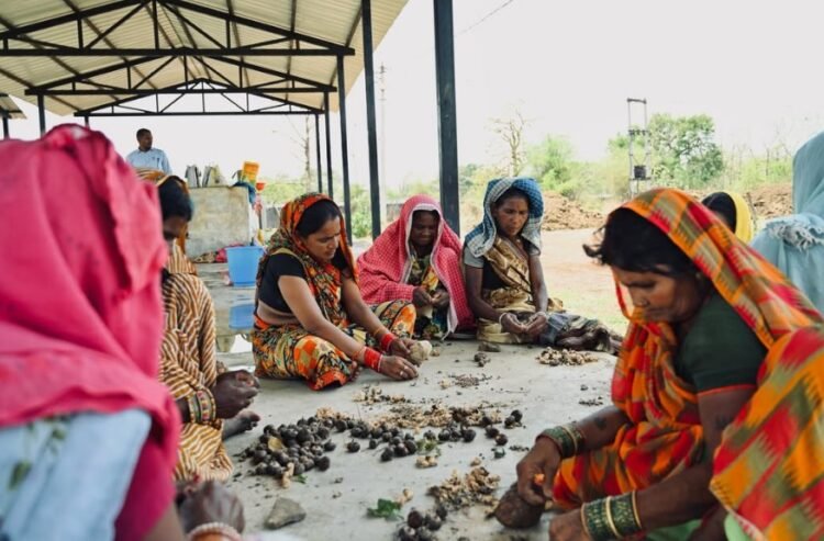 सीड बॉल अभियान के साथ हरियाली की नई शुरुआत