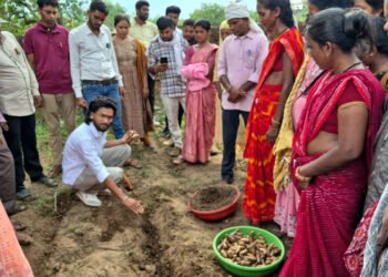 धमतरी का ‘नगरी’ बनेगा हल्दी उत्पादन का नया हब: 250 किसानों ने थामा वैज्ञानिक खेती का हाथ, 250 टन पैदावार का लक्ष्य