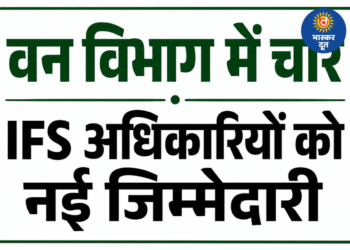 छत्तीसगढ़ में वन विभाग में बड़ा प्रशासनिक फेरबदल, चार वरिष्ठ IFS अधिकारियों को मिला अतिरिक्त प्रभार