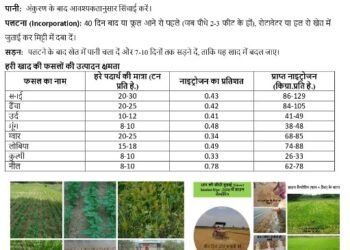 अधिक वर्षा की स्थिति में किसान लेही पद्दति से धान की करें बुआई