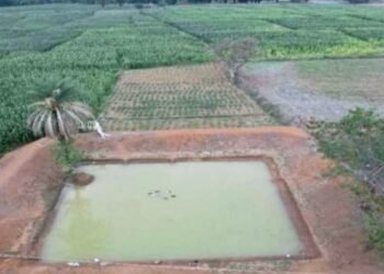 खोटलापल ग्राम पंचायत में डबरी निर्माण से बदली ग्रामीणों की तकदीर