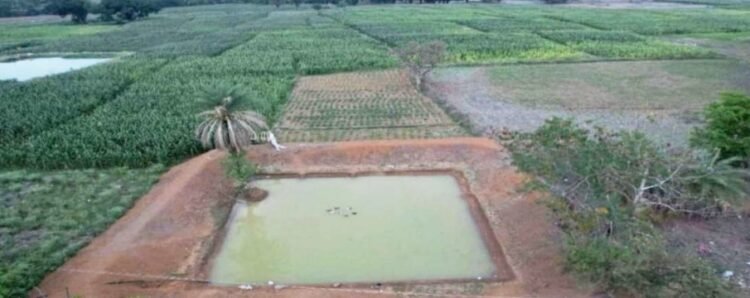 खोटलापल ग्राम पंचायत में डबरी निर्माण से बदली ग्रामीणों की तकदीर