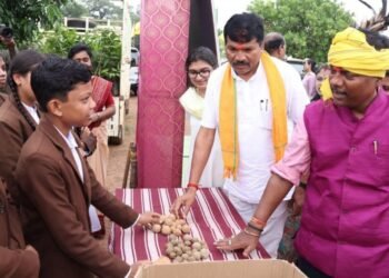 नारायणपुर में वन महोत्सव का भव्य आयोजन