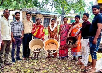 सुकमा की ग्रामीण महिलाओं को मिला स्वरोजगार का सहारा निःशुल्क चूजा वितरण से
