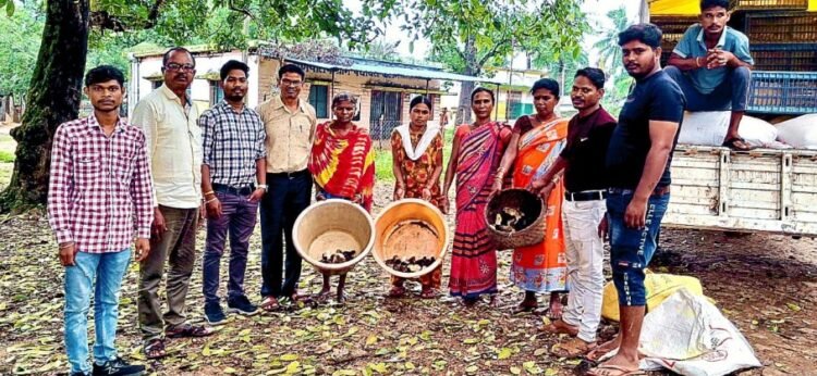 सुकमा की ग्रामीण महिलाओं को मिला स्वरोजगार का सहारा निःशुल्क चूजा वितरण से