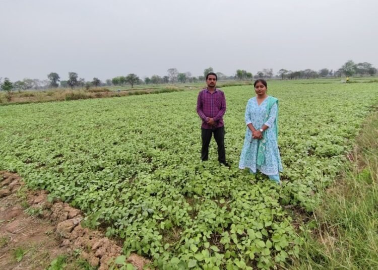 फसल विविधीकरण बना आर्थिक समृद्धि का आधार
