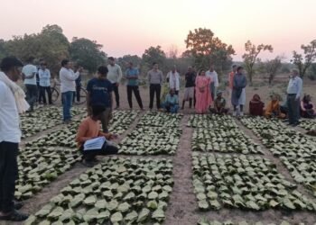 साय सरकार के सुशासन में तेन्दूपत्ता संग्राहकों को मिली आर्थिक मजबूती, 10,160 हितग्राहियों के खातों में पहुँची 1.39 करोड़ रुपये से अधिक की बोनस राशि