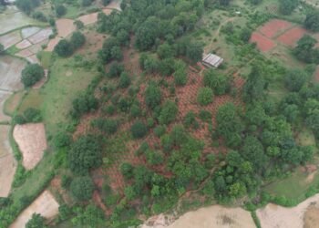 मोर गांव, मोर पानी अभियान से घोघर बना जल संरक्षण का प्रेरक मॉडल