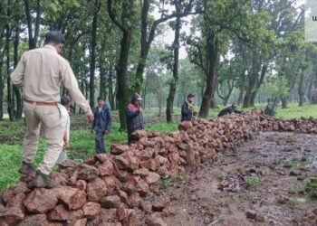 वन विभाग की बड़ी कार्रवाई: अवैध अतिक्रमण हटाकर वनभूमि कराई मुक्त, तत्काल शुरू किया गया पौधरोपण
